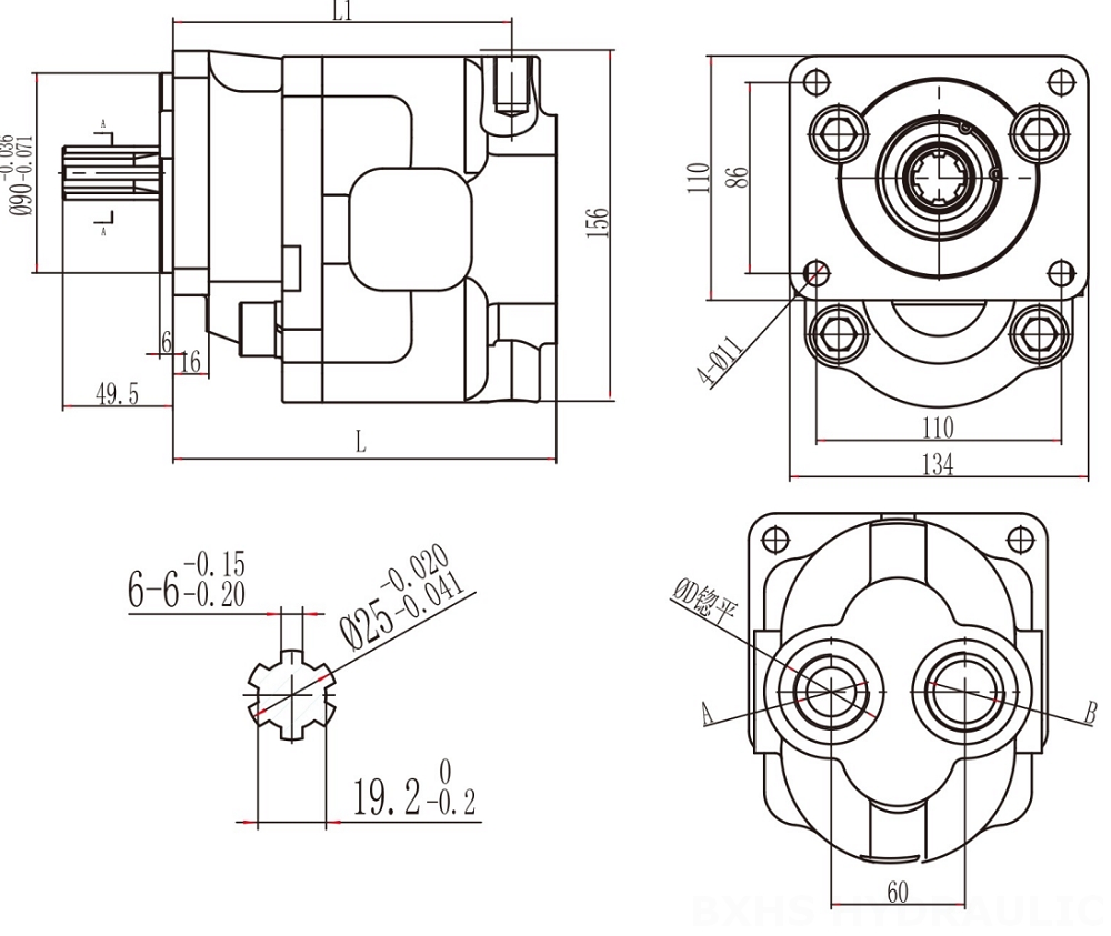 CBHS-F550 50 cc/vòng Bơm bánh răng thủy lực drawing image