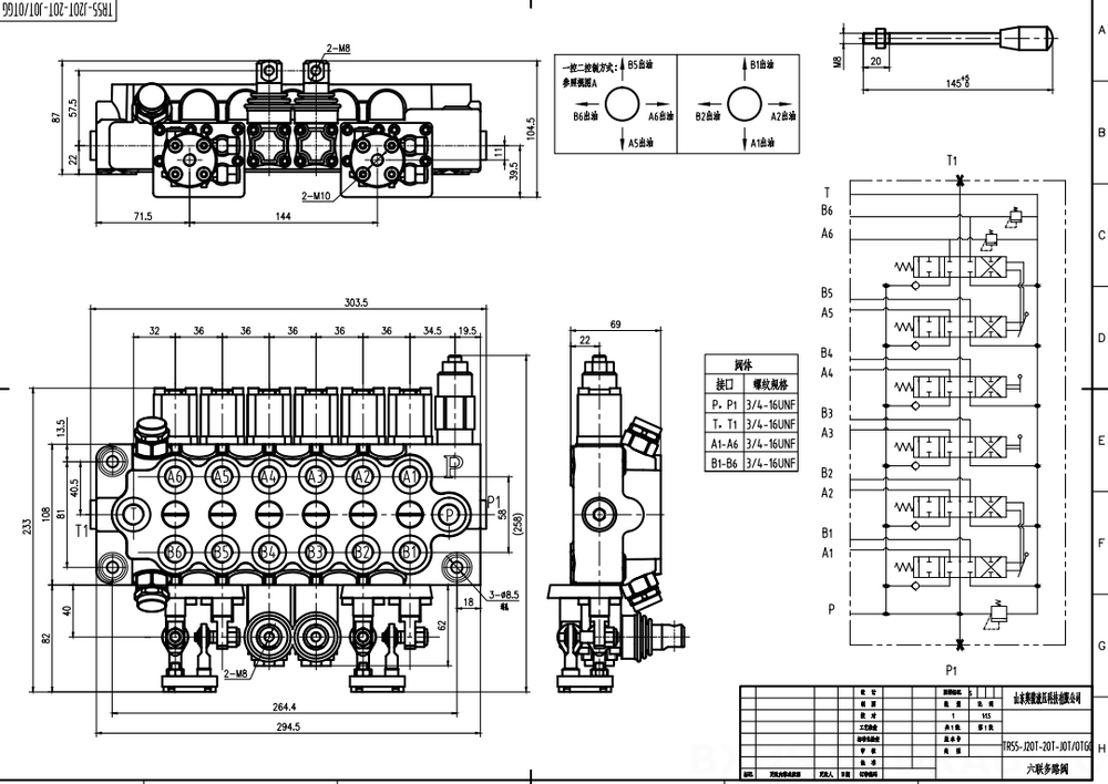 TR55 Thủ công và tay điều khiển Xy lanh 6 Van định hướng khối liền drawing image