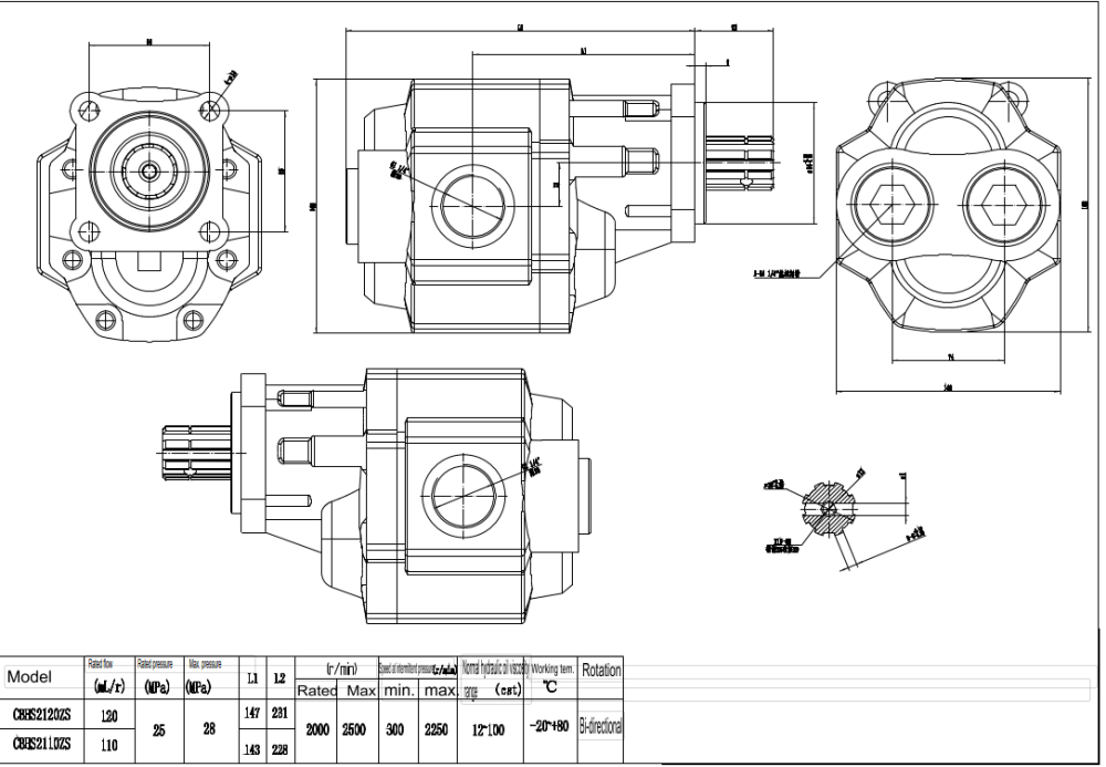 CBHST1-ISO-110 110 cc/vòng Bơm bánh răng thủy lực drawing image