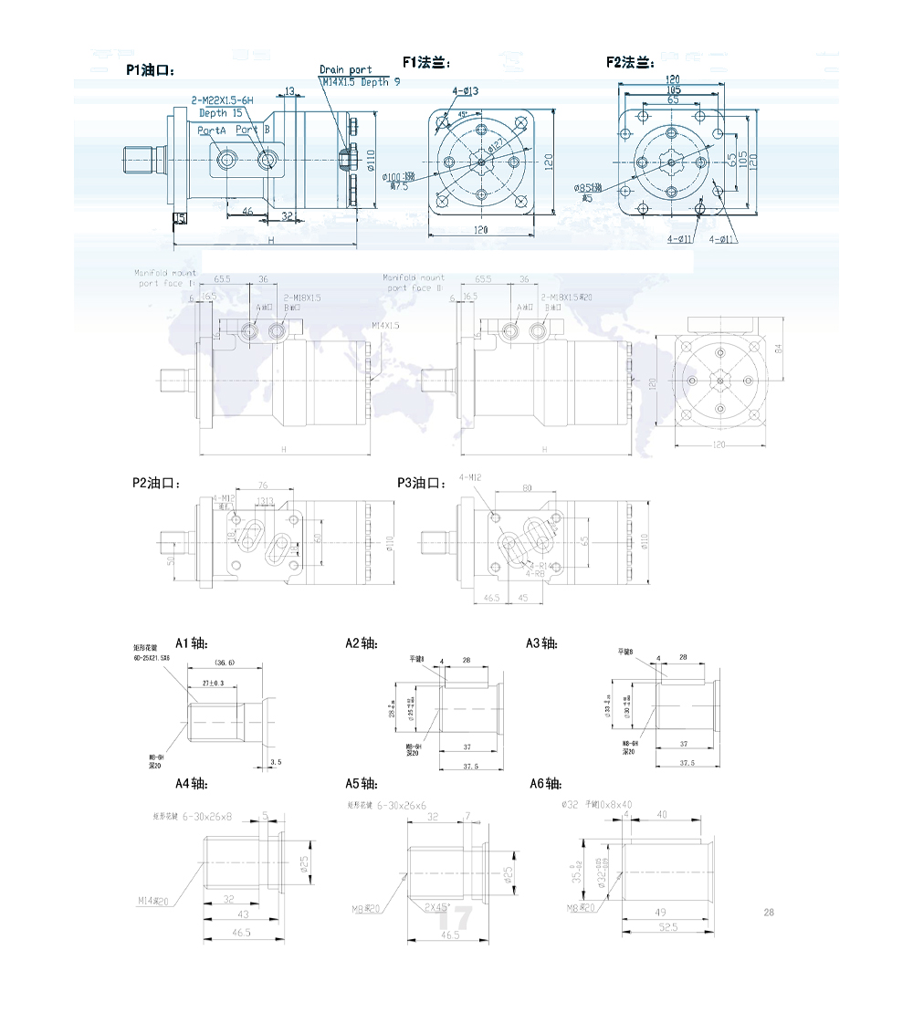 Động cơ thủy lực BM3_Cycloid 100 cc/vòng 50 L/phút Động cơ thủy lực drawing image