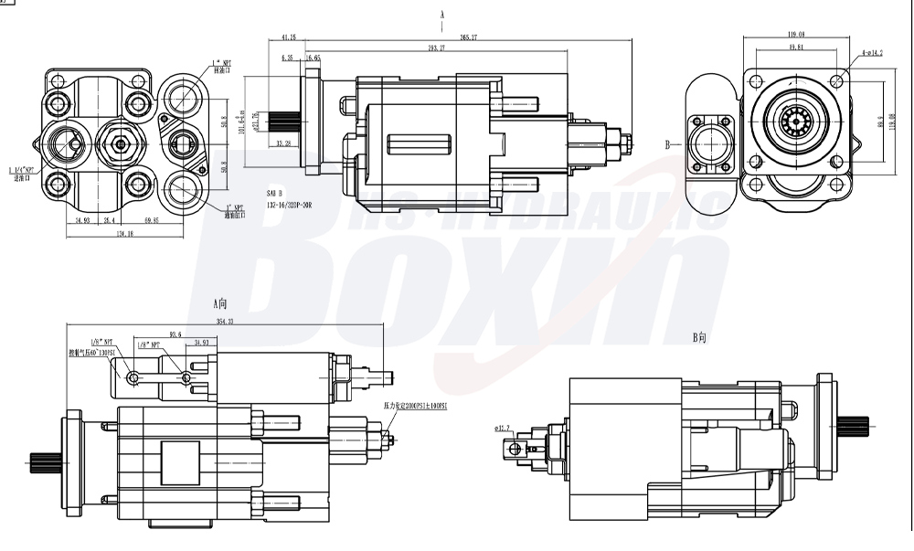 Seeking Distributors for C102 112 cc/rev Hydraulic Gear Pumps Worldwide drawing image