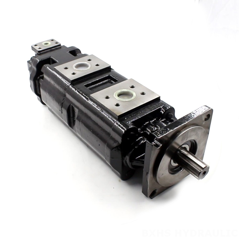 JHP2100-2080-1016 100 cc/vòng Bơm bánh răng thủy lực image
