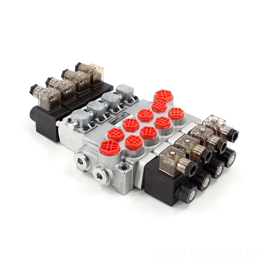 P40-DS Biến áp Xy lanh 4 Van điều hướng Monoblock image