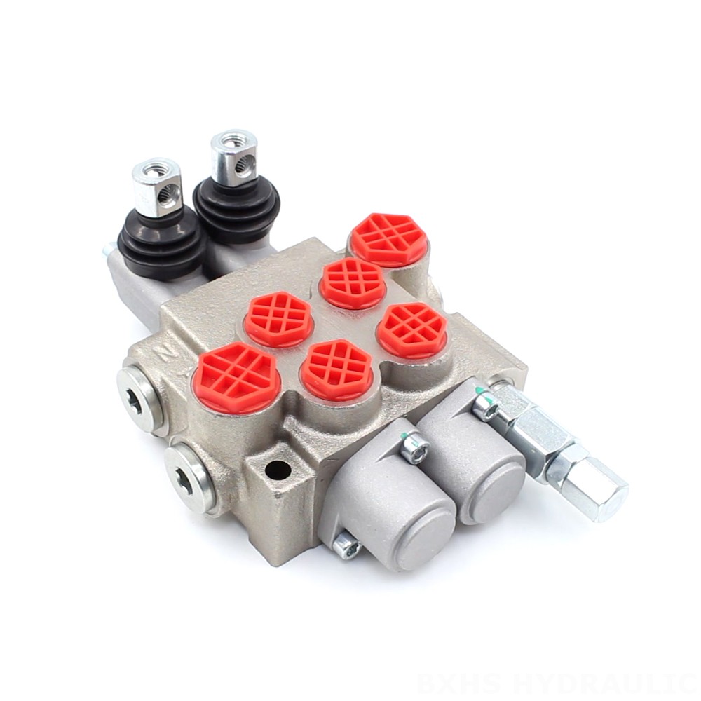 P40-XNHJ Điều khiển thủ công Xy lanh 2 Van điều hướng Monoblock image