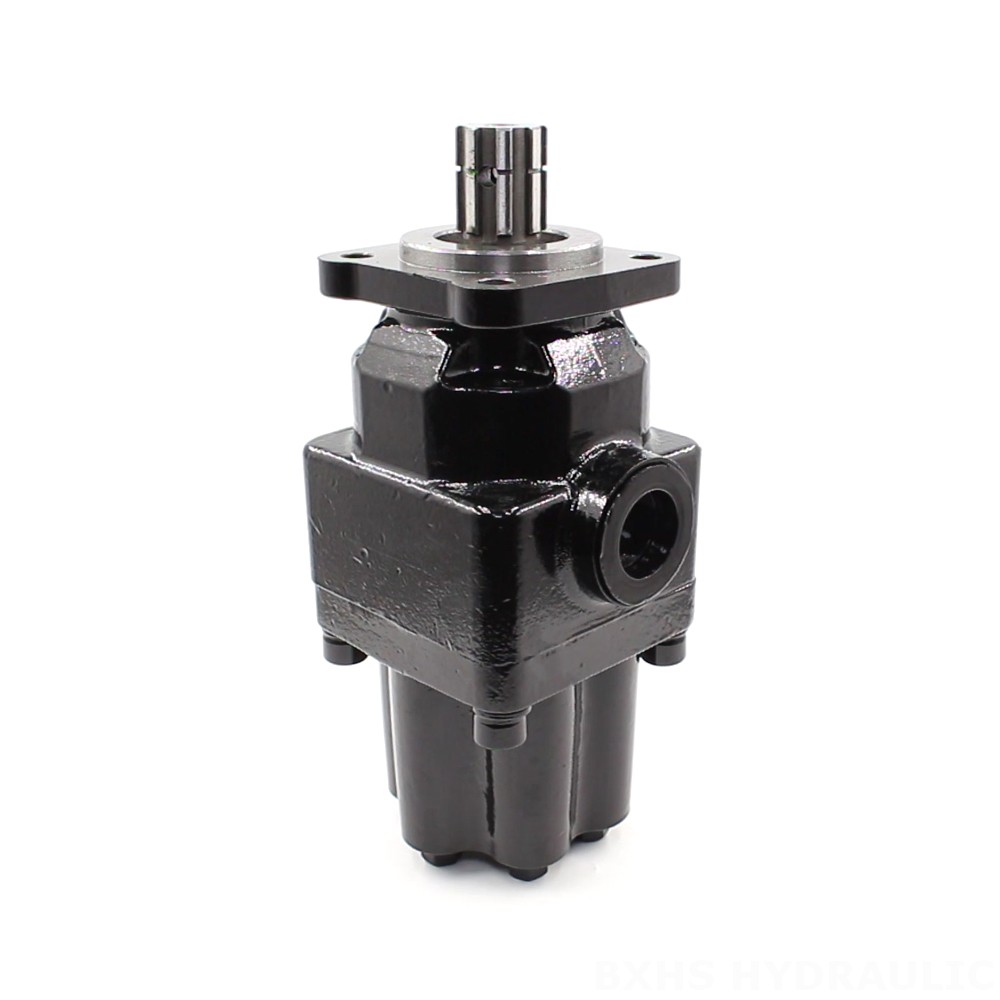 P6-40 40 cc/vòng Bơm piston thủy lực image