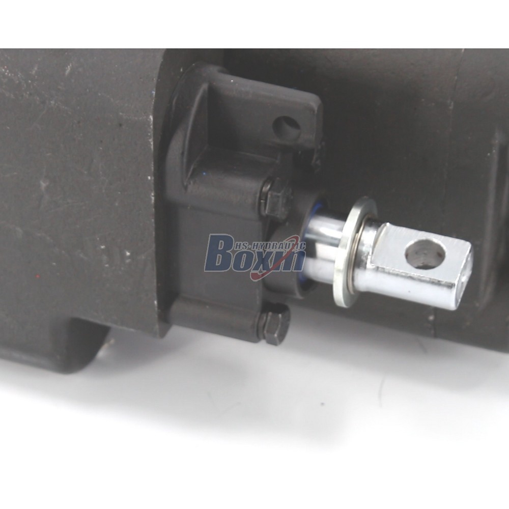 Professional Production of C102-LMS-25 100 cc/rev Hydraulic Pumps detail image