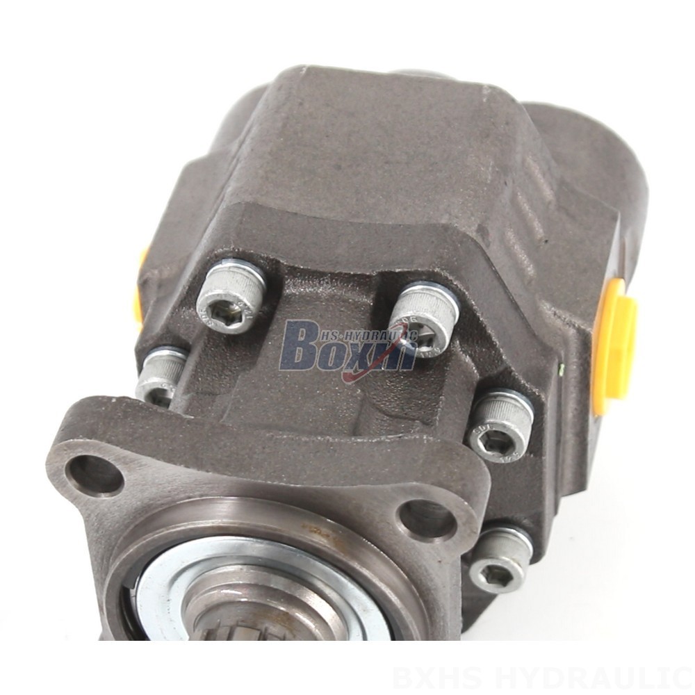 Industrial Hydraulic Gear Pumps CBHW-ISO-100-Y – Factory Manufactured & Sold detail image