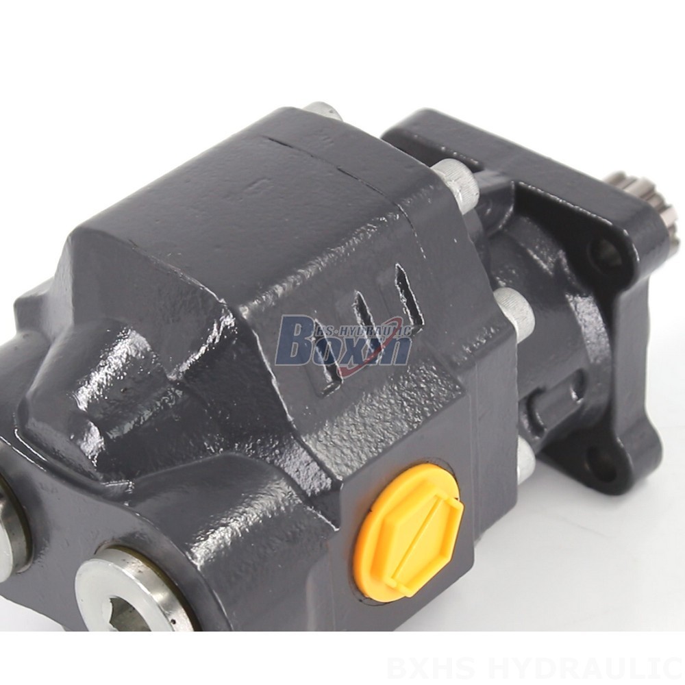 Precision Engineered 3190 psi Hydraulic Gear Pump for Machinery detail image