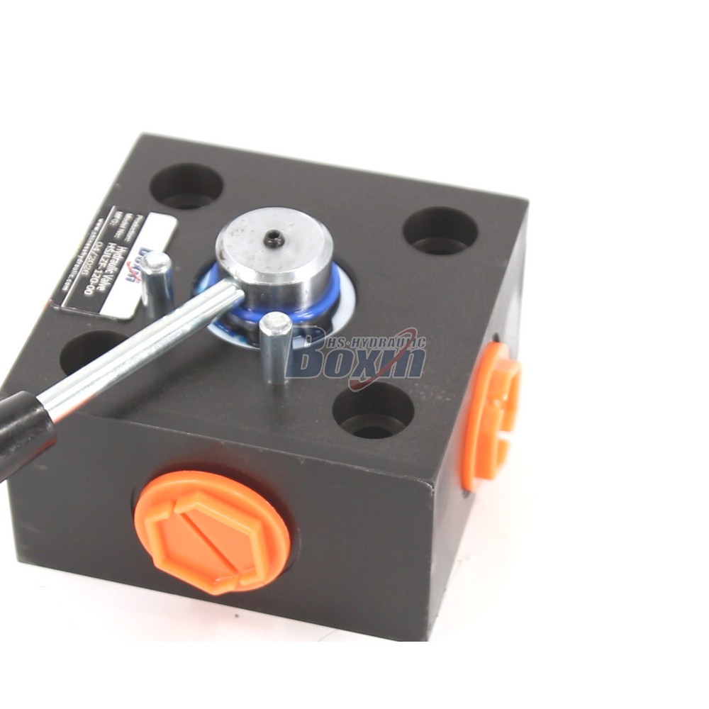 OEM and Custom HSJLZF-120 Manual 1 Spool Monoblock Directional Valve with Private Label Services detail image