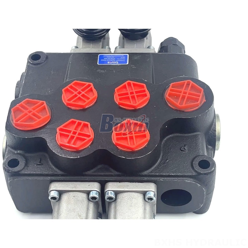 P120 Manual 2 Spool Monoblock Directional Valve | Manufacturer & Supplier detail image
