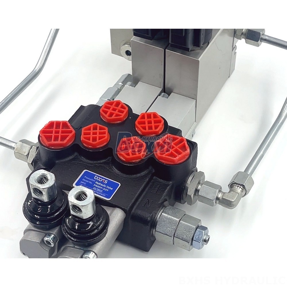 Design and Manufacture to Your Specifications: OEM and ODM for P40 Valves detail image