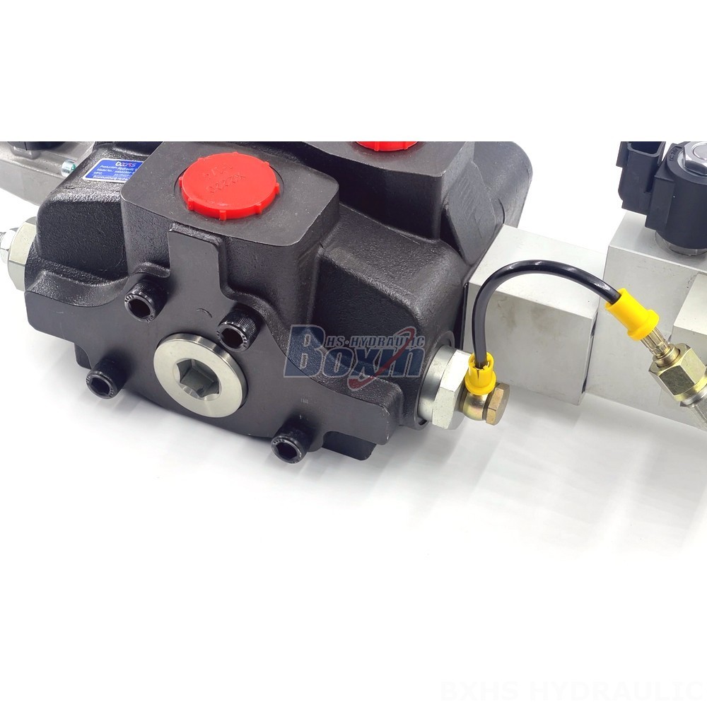Maximize Efficiency with SD25 Valve | Electro-hydraulic Control & Automation detail image