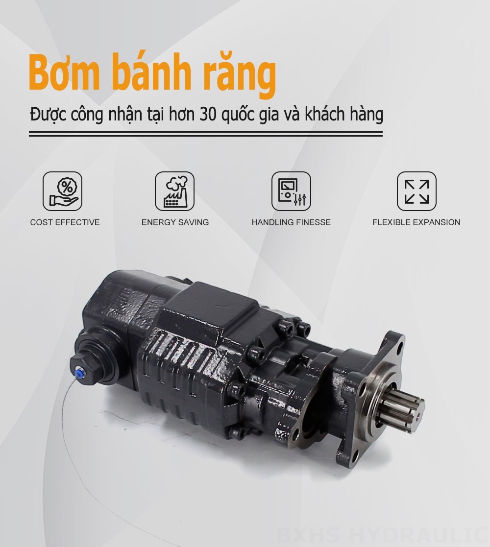 BF110A-ZF1 110 cc/vòng Áp suất 20 MPa (2900 psi) Bơm bánh răng thủy lực