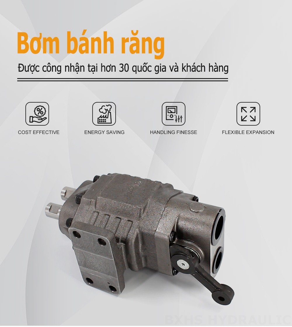 BF110M 110 cc/vòng Áp suất 20 MPa (2900 psi) Bơm bánh răng thủy lực