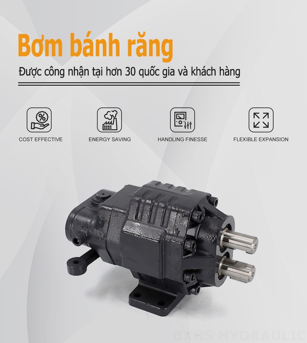 BF62M 63 cc/vòng Áp suất 20 MPa (2900 psi) Bơm bánh răng thủy lực