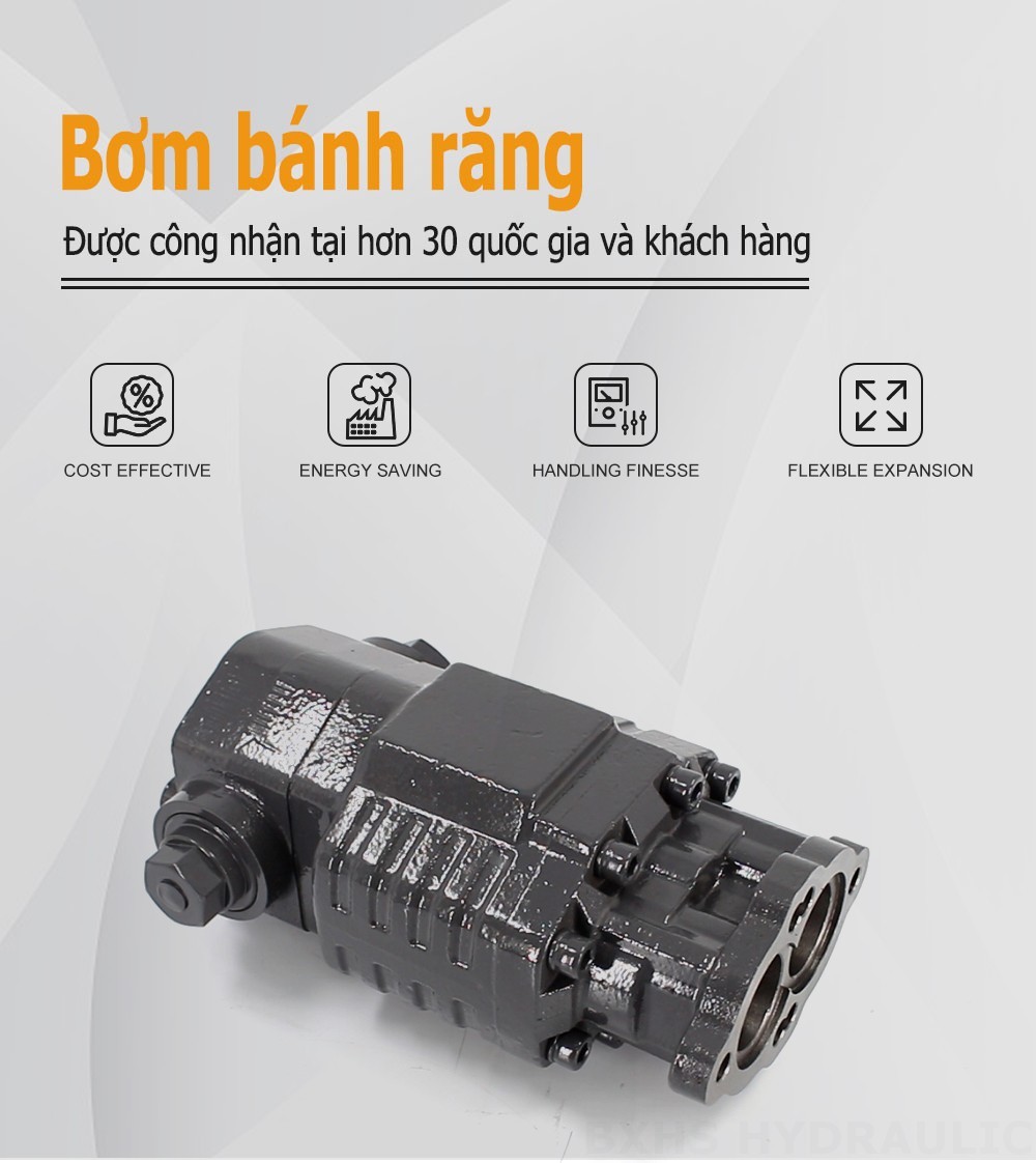 BF82A 80 cc/vòng Áp suất 20 MPa (2900 psi) Bơm bánh răng thủy lực