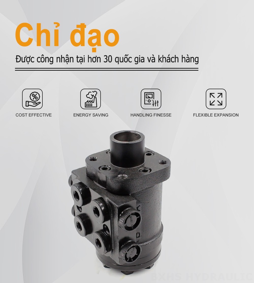 BZZ1-E80AS 80 ml/vòng 6 L/phút Bộ phận lái