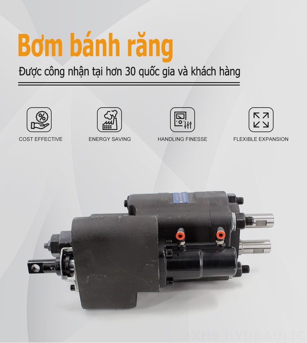 C101-25-LAS 112 cc/vòng Bơm bánh răng thủy lực