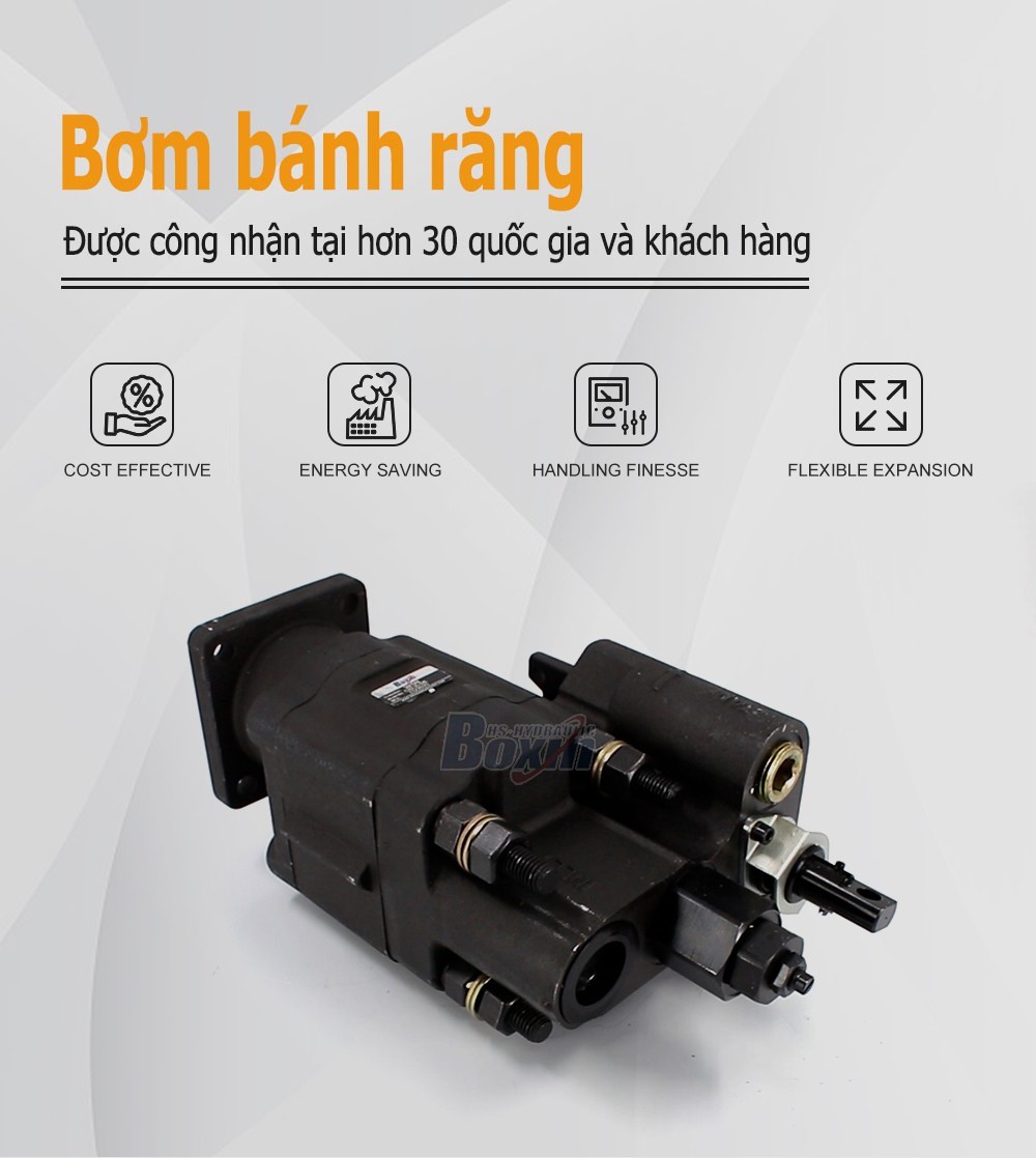 C102-LMS-25 100 cc/vòng Áp suất 20 MPa (2900 psi) Bơm bánh răng thủy lực