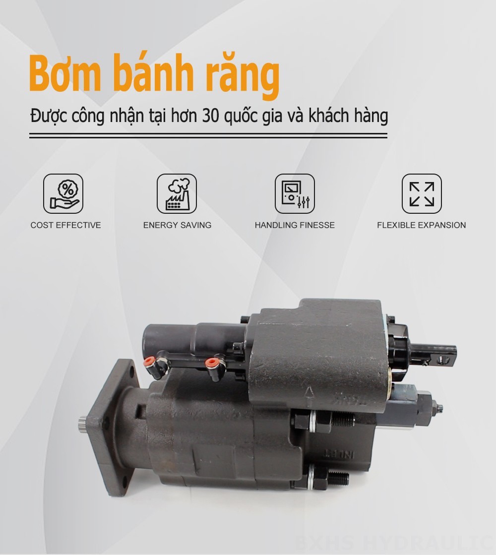C102 112 cc/vòng Bơm bánh răng thủy lực