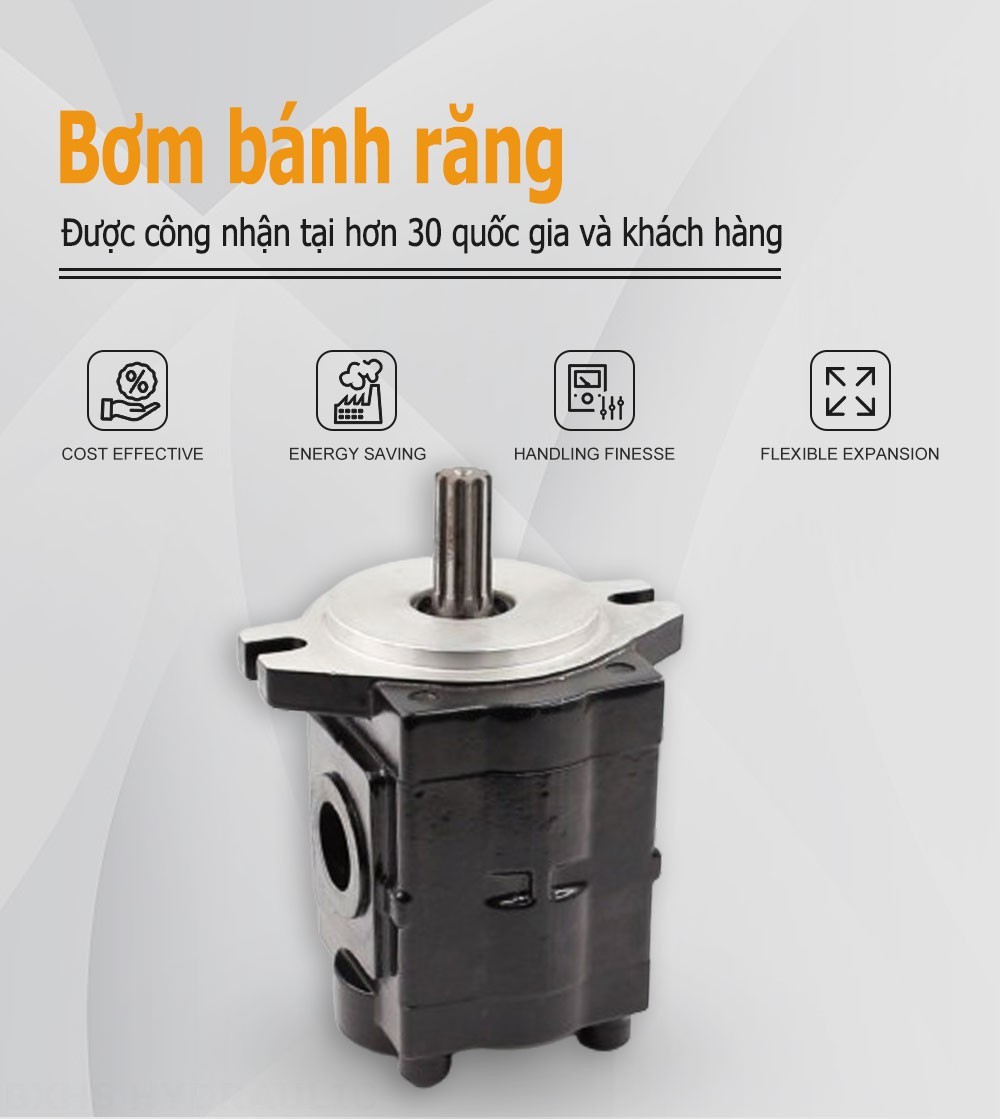 CBHS-C20 20 cc/vòng Bơm bánh răng thủy lực