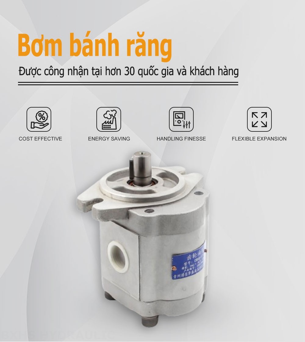 CBHS-F316 Lượng dịch chuyển mỗi vòng quay Bơm bánh răng thủy lực