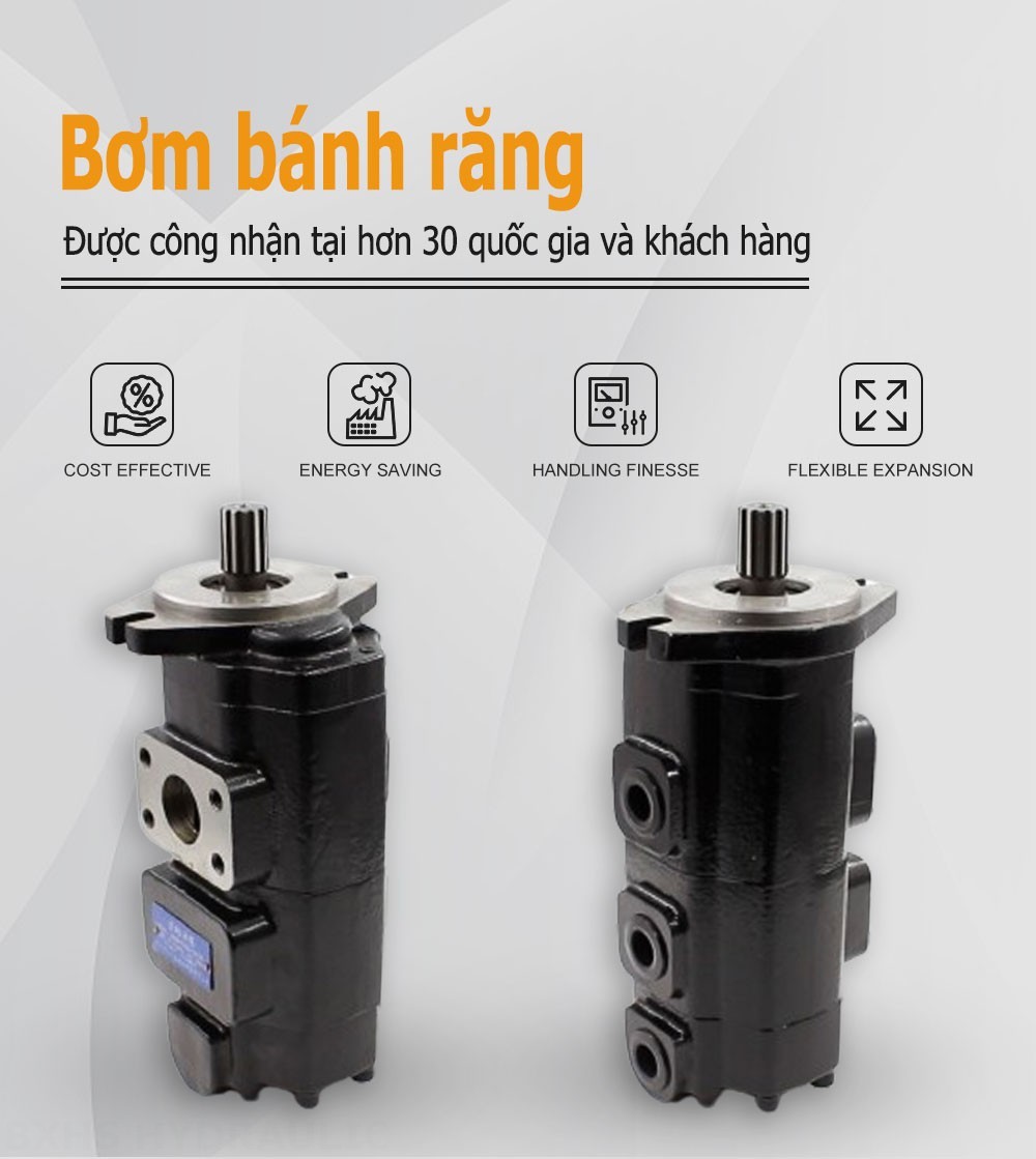 CBHS-F420 20 cc/vòng Bơm bánh răng thủy lực