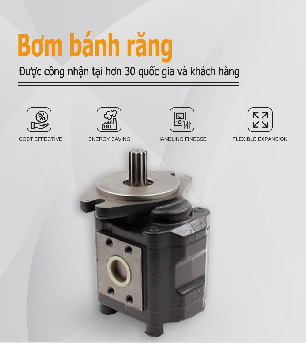 CBHS-F425 25 cc/vòng Bơm bánh răng thủy lực