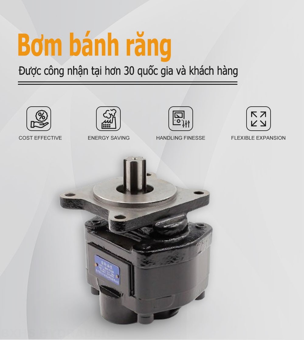 CBHS-F520R 20 cc/vòng Bơm bánh răng thủy lực