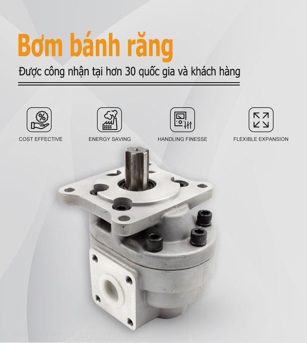 CBHS-F550 50 cc/vòng Bơm bánh răng thủy lực