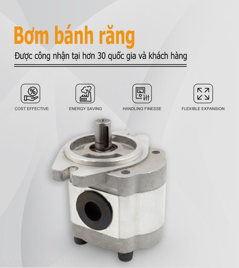 CBHS-FL-306 Lượng dịch chuyển mỗi vòng quay Bơm bánh răng thủy lực