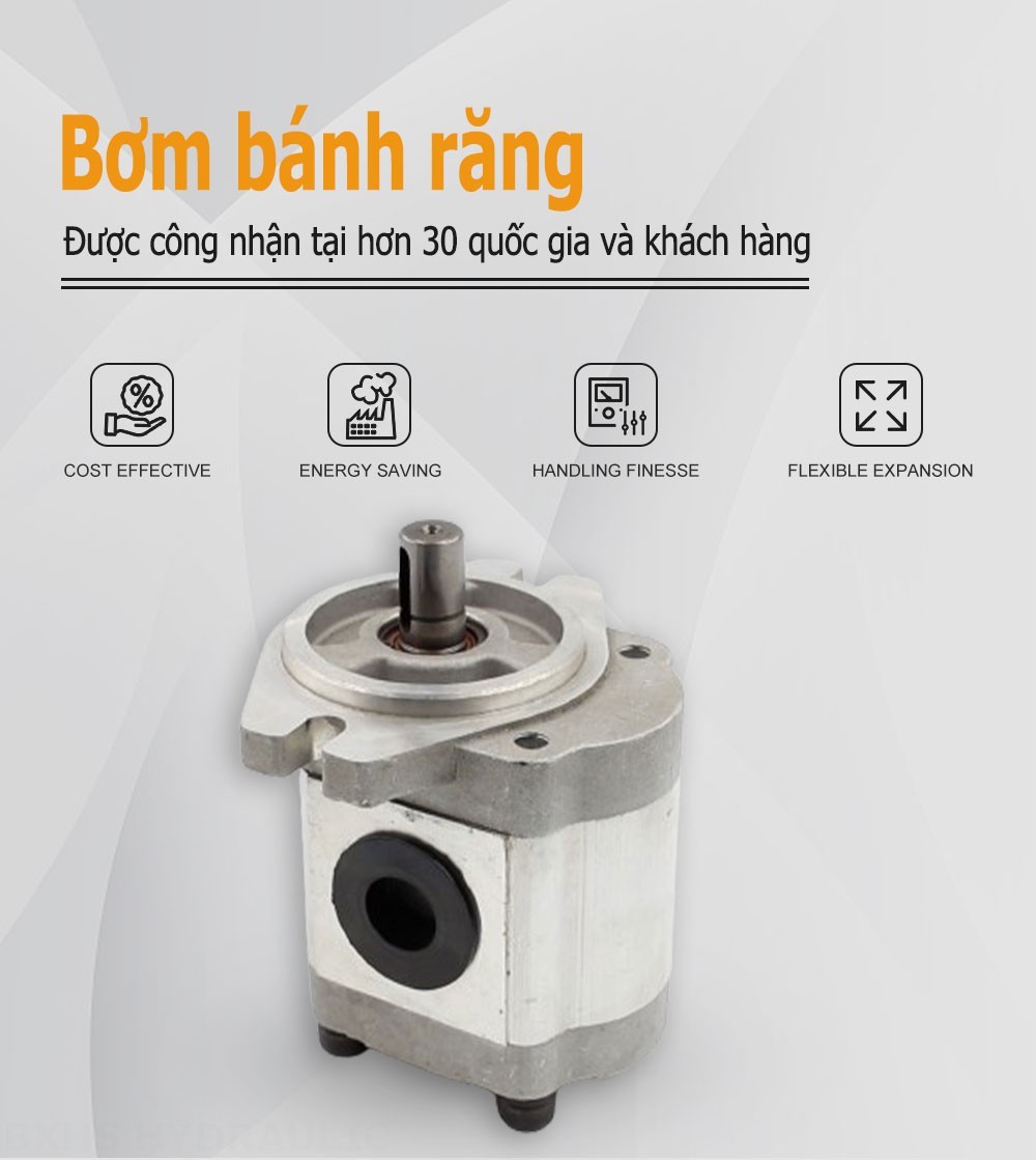 CBHS-FL-314 Lượng dịch chuyển mỗi vòng quay Bơm bánh răng thủy lực