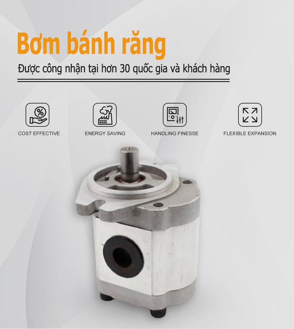 CBHS-FL-316 Lượng dịch chuyển mỗi vòng quay Bơm bánh răng thủy lực