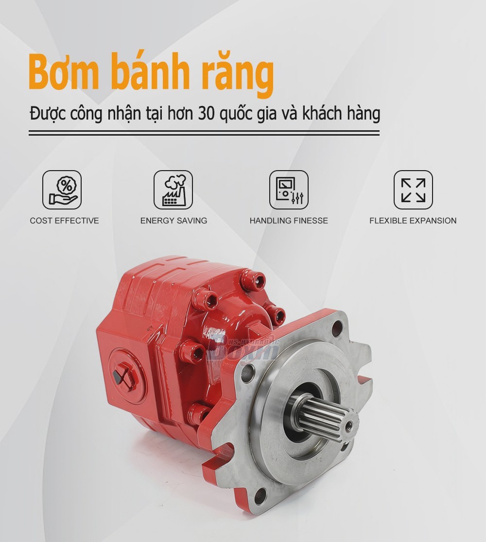 CBHS3100 100 cc/vòng Áp suất 20 MPa (2900 psi) Bơm bánh răng thủy lực