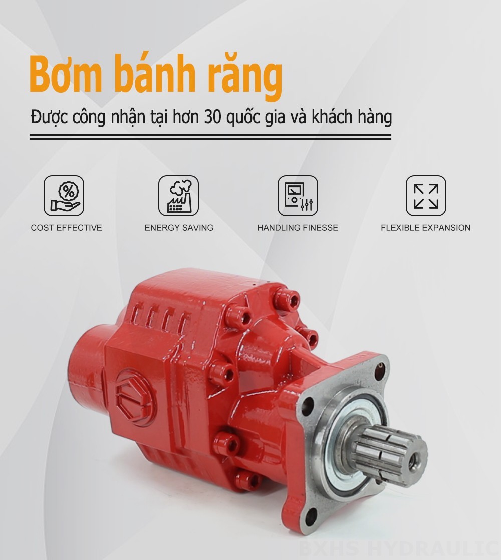 CBHST1-ISO-63-X 63 cc/vòng Bơm bánh răng thủy lực
