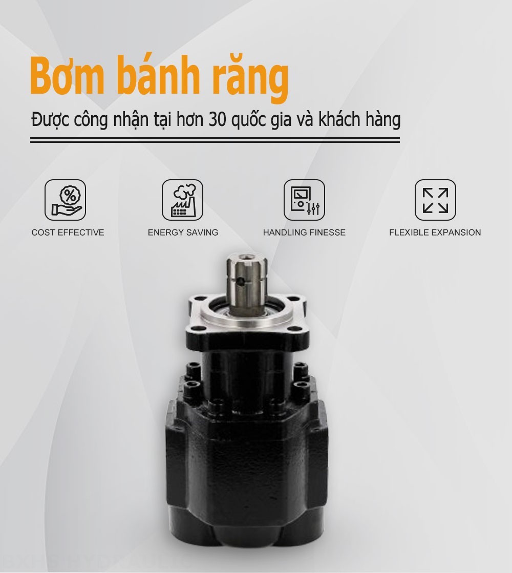 CBHST1-ISO-63  63 cc/vòng Bơm bánh răng thủy lực