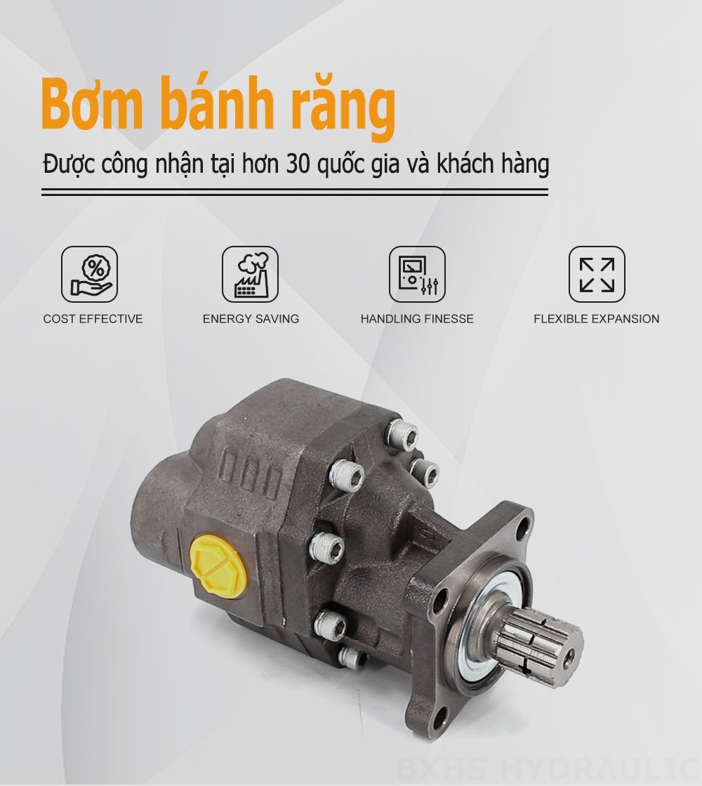 CBHW-ISO-100-Y 100 cc/vòng Áp suất 22 MPa (3190 psi) Bơm bánh răng thủy lực
