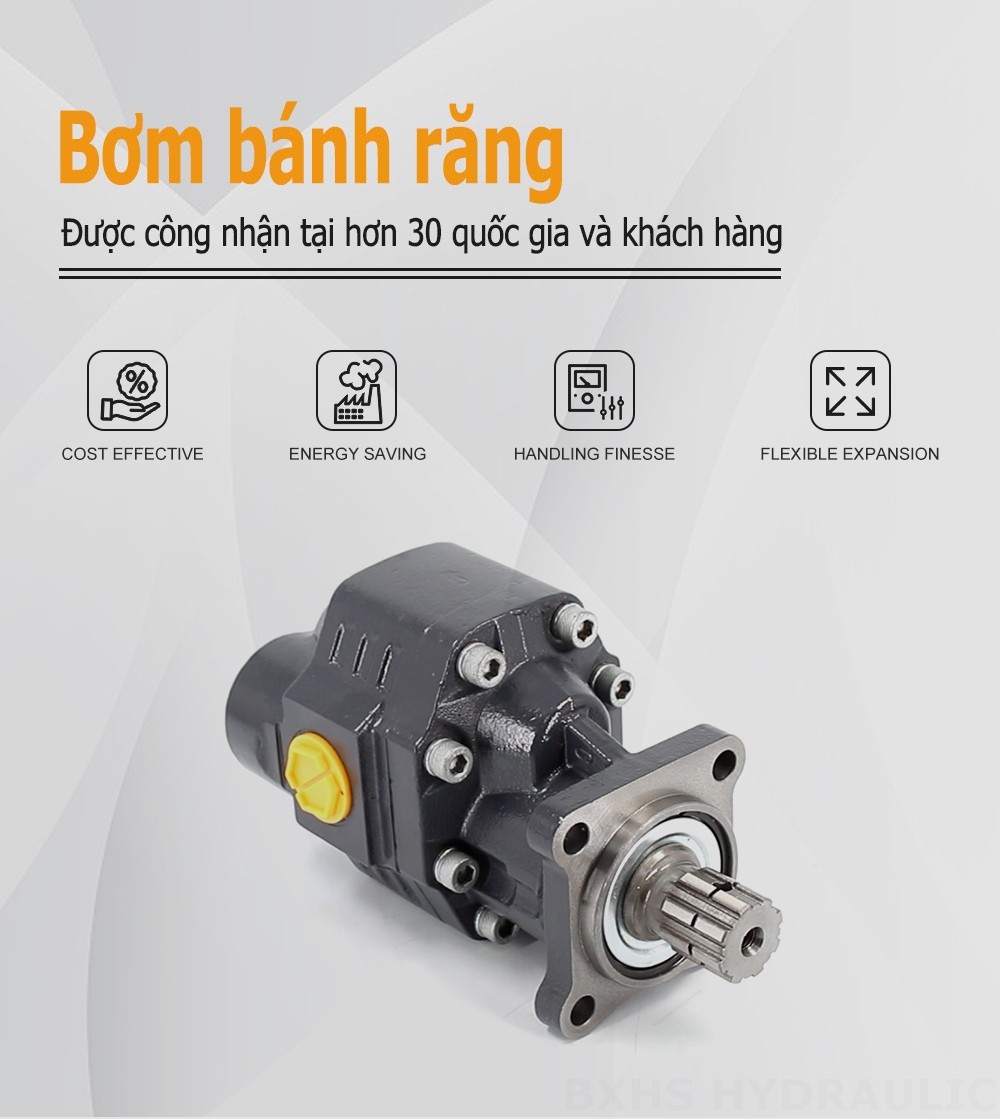 CBHW-ISO-80-H 80 cc/vòng Áp suất 22 MPa (3190 psi) Bơm bánh răng thủy lực