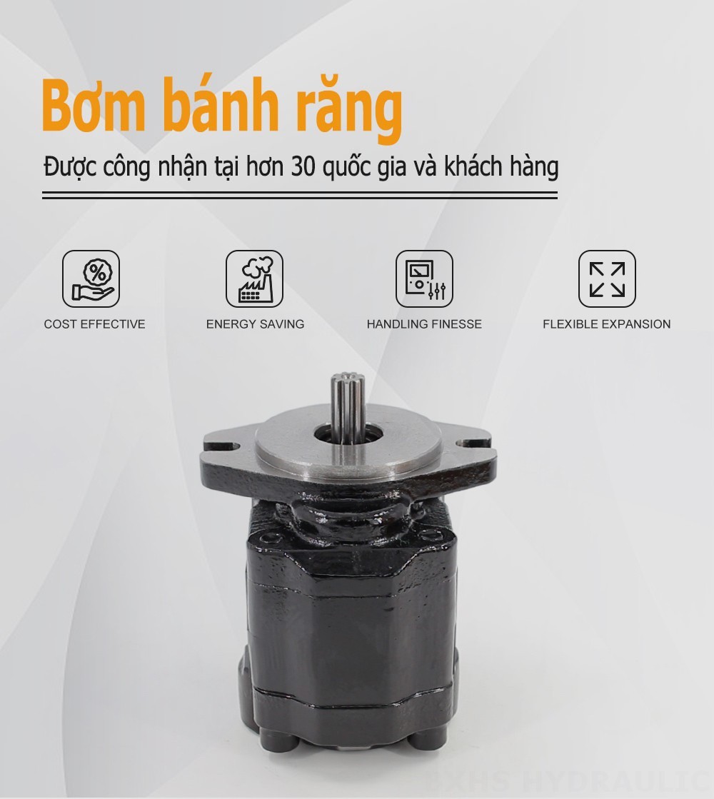 CBHZ-F20R 19,7 cc/vòng quay Bơm bánh răng thủy lực