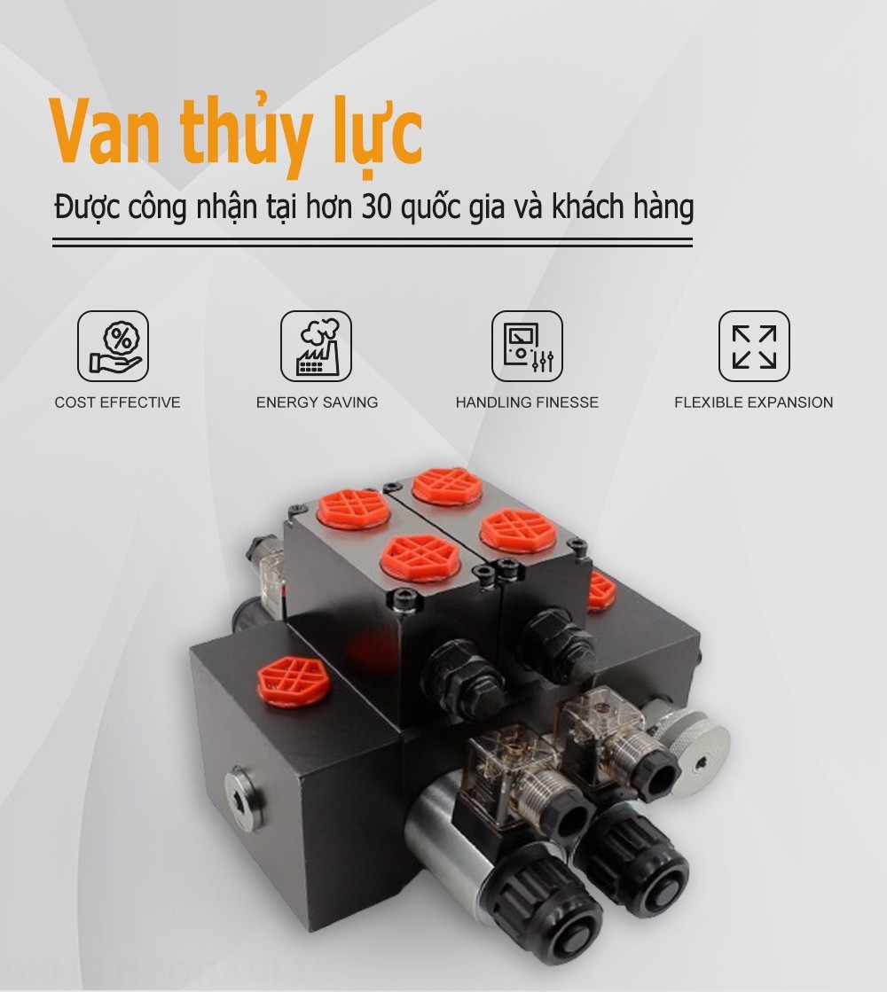 DCV58F Biến áp Xy lanh 2 Van định hướng phân đoạn