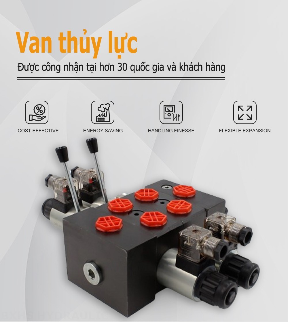 DCV58 Biến áp Xy lanh 2 Van định hướng phân đoạn