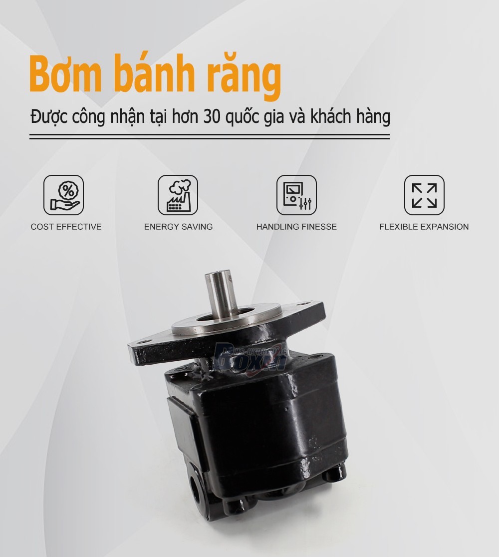 CBHS-FC25 25 cc/vòng Áp suất 20 MPa (2900 psi) Bơm bánh răng thủy lực