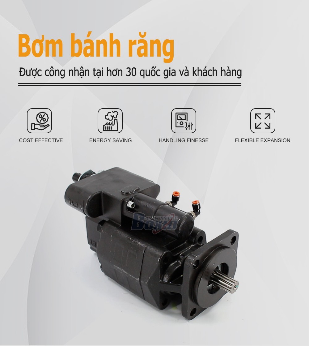 Custom OEM ODM Service for G102-AS 63 cc/rev Hydraulic Gear Pump with Private Labeling