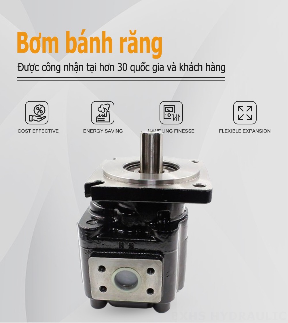 JHP2063 63 cc/vòng Bơm bánh răng thủy lực