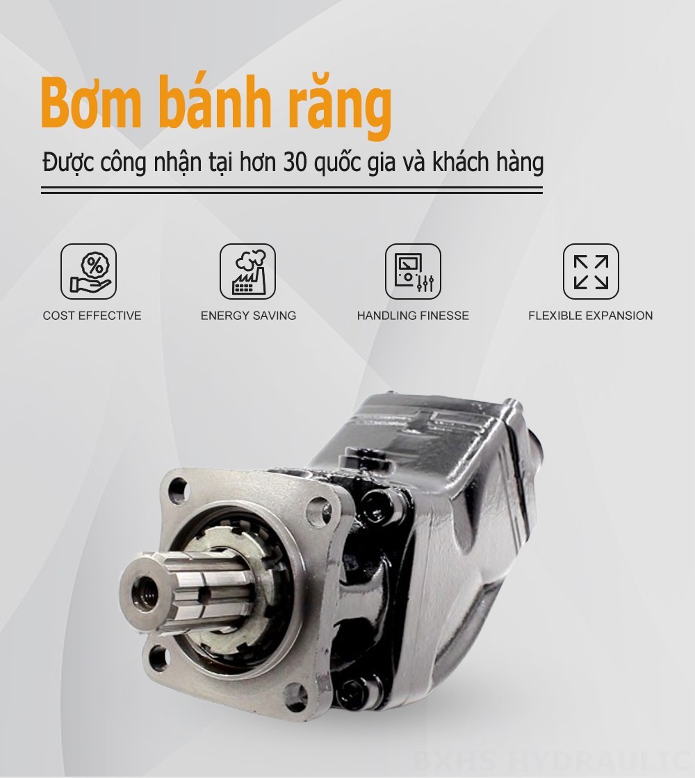 LB-63 63 cc/vòng Bơm piston thủy lực