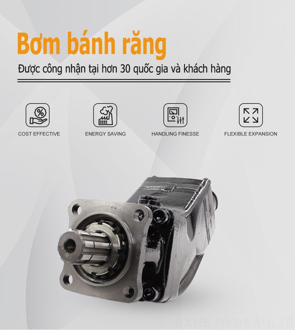 LB-80 80 cc/vòng Bơm piston thủy lực