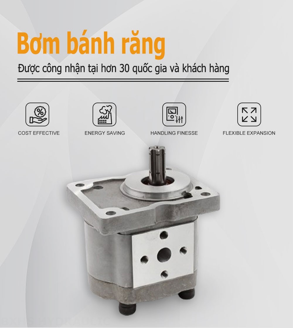 NSH-10 10 cc/vòng Bơm bánh răng thủy lực