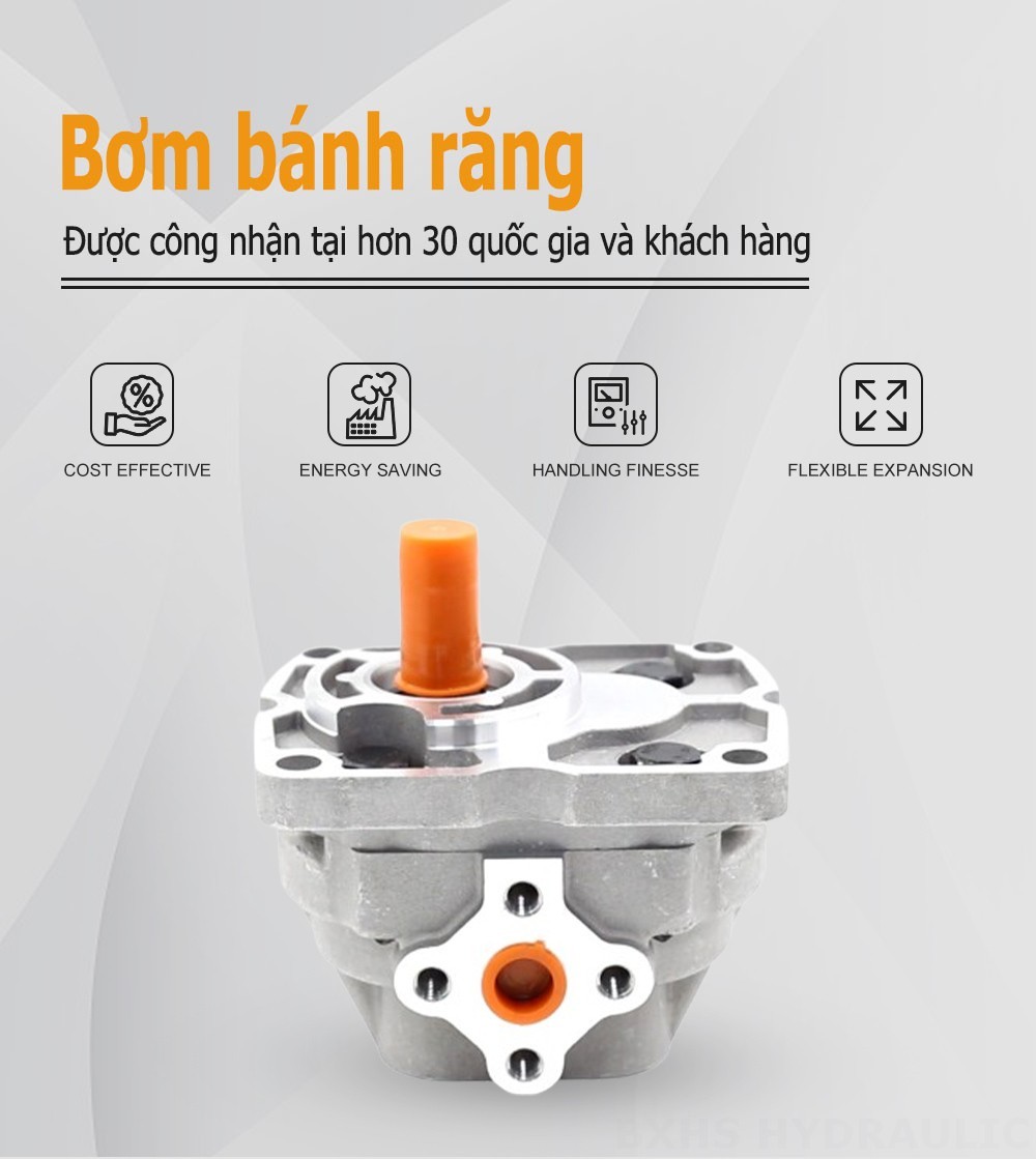 NSH10-M 10 cc/vòng Bơm bánh răng thủy lực