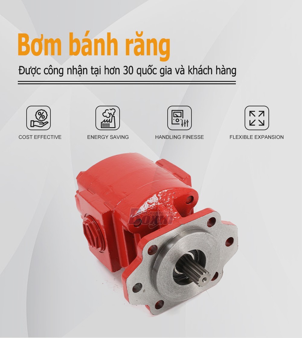 High Performance P21A646JEAL20-25-H 64.6 cc/rev Hydraulic Gear Pump Supply