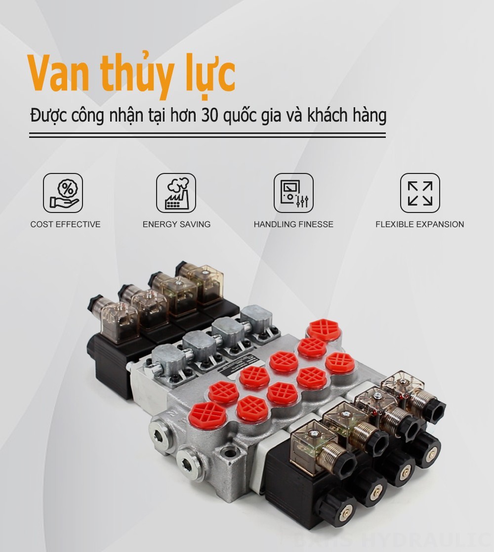 P40-DS Biến áp Xy lanh 4 Van điều hướng Monoblock